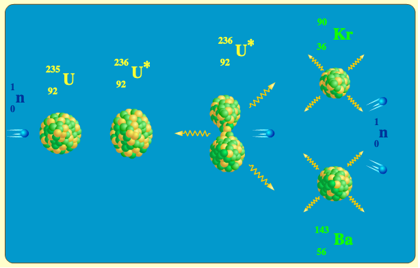 This image illustrates how a fission reaction develops